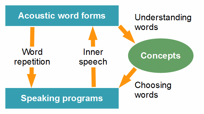 Stuttering theory. speech production: motor programs and word forms