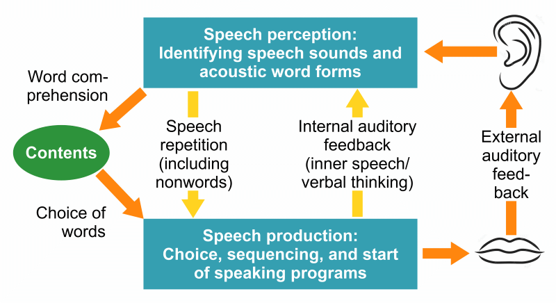 Stuttering theory, model of speech productionn