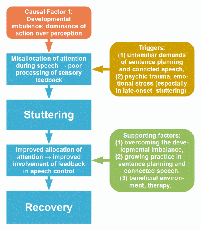 Stuttering theory: transient developmental stuttering, causes and influencing factors
